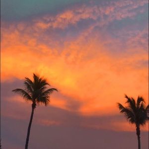 Meet your Posher, Stella